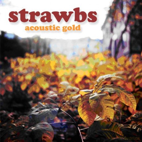 Strawbs: Acoustic Gold [CD]
