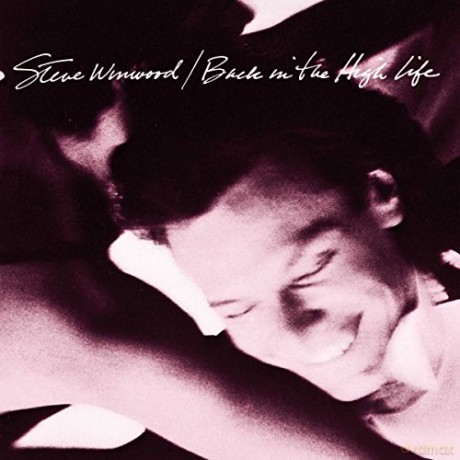 Steve Winwood: Back In The Highlife [Winyl]