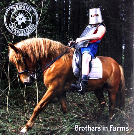 Steve 'N' Seagulls: Brothers In Farms [2xWinyl]