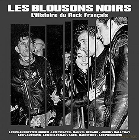 Les Blousons Noirs: LHistoire Du Rock Francais [Winyl]