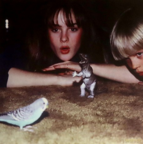 Big Thief: Masterpiece [Winyl]