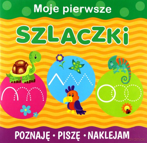 Szlaczki [KSIĄŻKA]