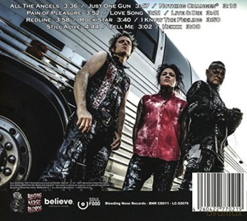 Madlife: Precision In The Face Of Chaos (digipack) [CD]