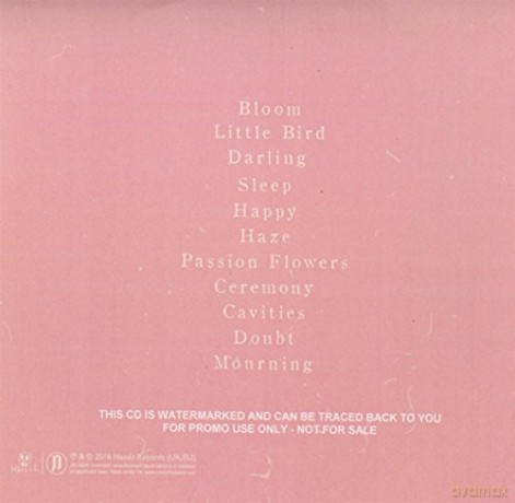 Casey: Love Is Not Enough (digipack) [CD]