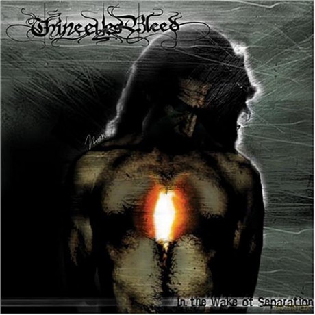 Thine Eyes Bleed: Special Edition-In The Wake Of Separation [CD]