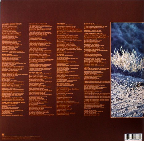 Stevie Wonder: Talking Book [Winyl]