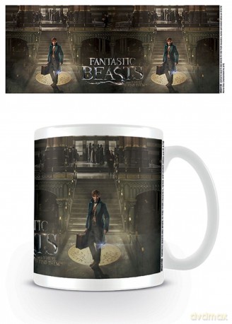 Fantastic Beasts: Teaser Kubek