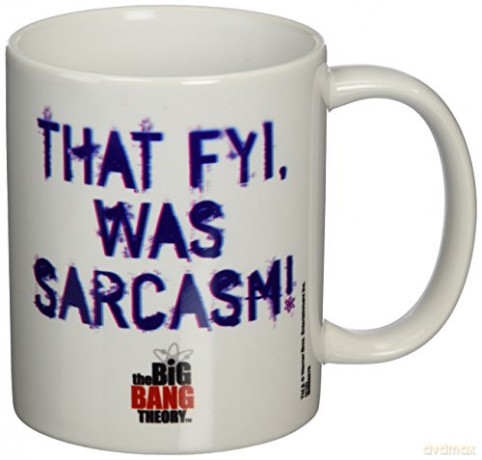 Big Bang Theory: That Fyi Was Sarcasm Kubek