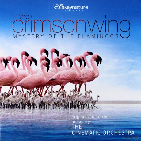 Cinematic Orchestra: The Crimson Wing - Mystery Of The [CD]