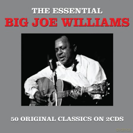 Big Joe Williams: The Essential [2CD]