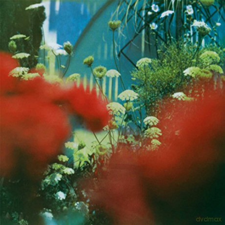 Pulled Apart By Horses: The Haze [Winyl]