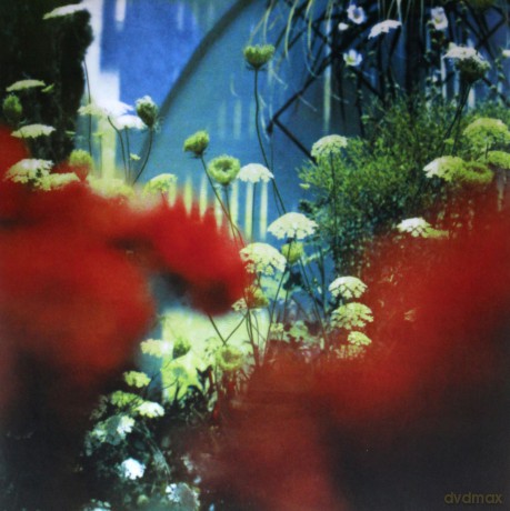 Pulled Apart By Horses: The Haze [Winyl]