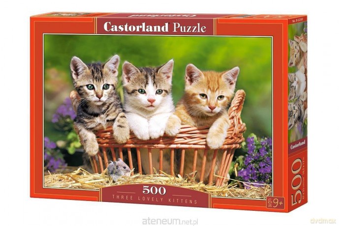 CASTOR 500 el. Trzy piękne kociaki [PUZZLE]