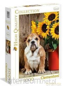 CLEMENTONI 1000 el. The Bulldog [PUZZLE]