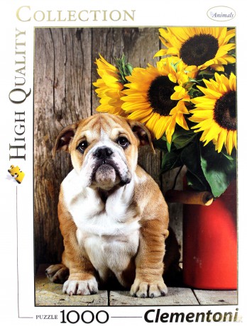 CLEMENTONI 1000 el. The Bulldog [PUZZLE]