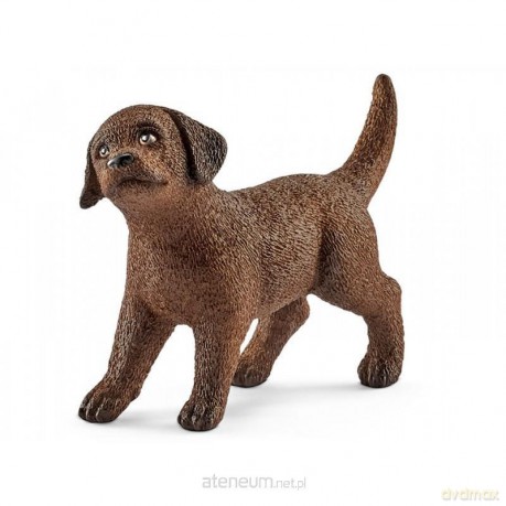 Labrador Retrieve szczeniak [FIGURKA]