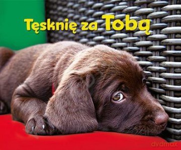 Perełka 271 - Tęsknię za Tobą [KSIĄŻKA]