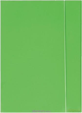 Teczka z gumką A4 600 g jasnozielona neon