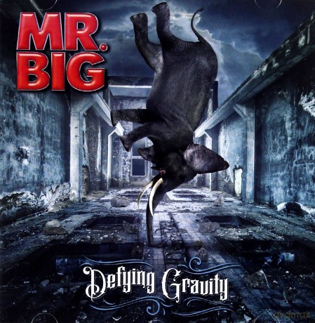Mr Big: Defying Gravity [CD]