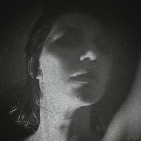 Aldous Harding: Party (Limited Edition) [Winyl]
