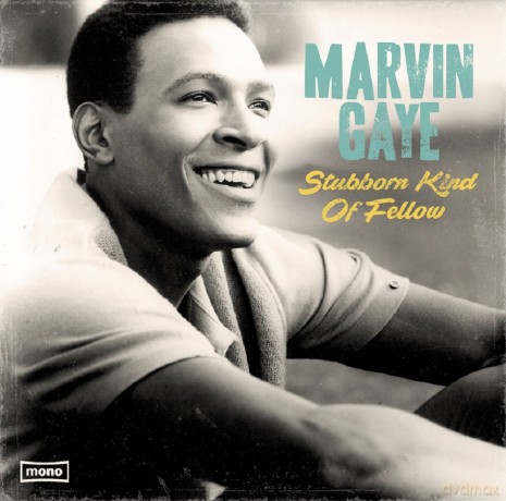Marvin Gaye: Stubborn Kind Of Fellow [Winyl]