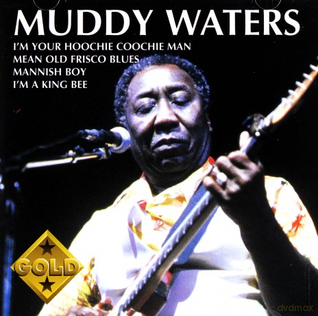 Muddy Waters: Muddy Waters [CD]