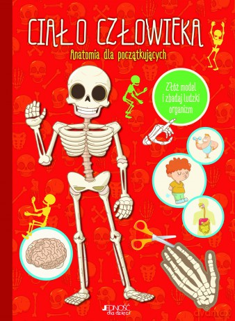 Ciało człowieka. Anatomia dla początkujących [KSIĄŻKA]
