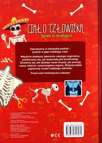 Ciało człowieka. Anatomia dla początkujących [KSIĄŻKA]