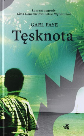 Tęsknota - Gael Faye [KSIĄŻKA]