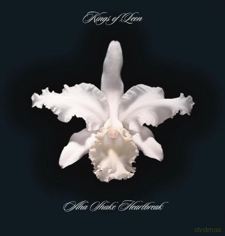 Kings Of Leon: Aha Shake Heartbreak [2xWinyl]