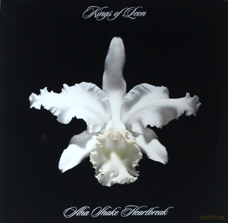 Kings Of Leon: Aha Shake Heartbreak [2xWinyl]