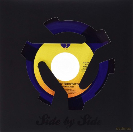 Flamin Groovies And Dylan Gardner: Shake Some Action [Winyl]