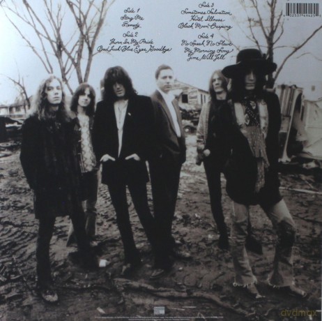 Black Crowes: The Southern Harmony [2xWinyl]