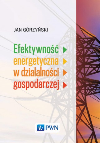 Efektywność energetyczna w działalności gospodarczej - Jan Górzyński [KSIĄŻKA]