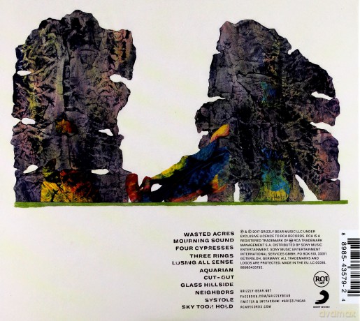 Grizzly Bear: Painted Ruins [CD]