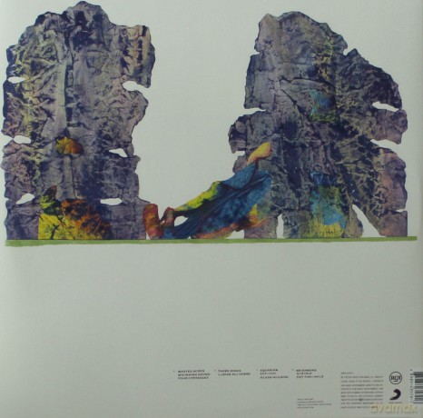 Grizzly Bear: Painted Ruins [2xWinyl]