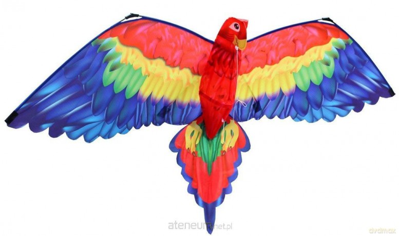 Latawiec Cora 3D Gunther