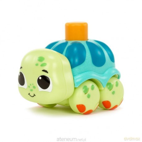Touch 'n Go Turtle