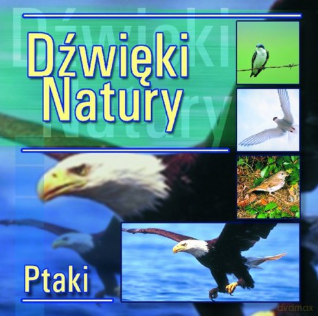 Muzyka Relaksacyjna: Dźwięki natury - Ptaki [CD]