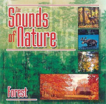 Muzyka Relaksacyjna: Dźwięki natury - Las  [CD]