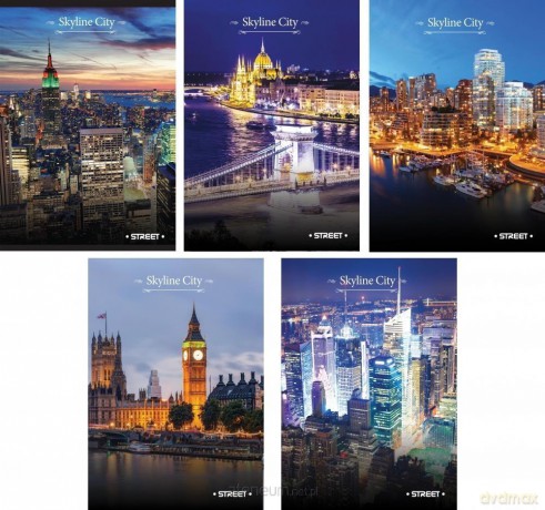 Zeszyt A4/54L kratka Street Skyline 80 g (10 szt)
