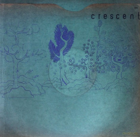 Crescent: Resin Pockets [Winyl]