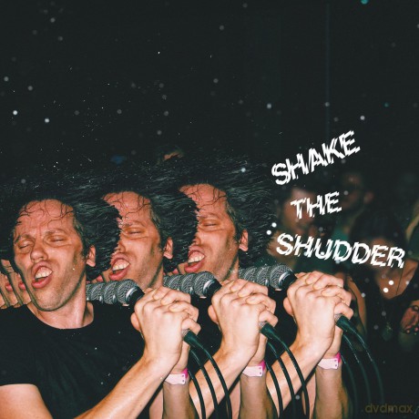 !!!: Shake The Shudder [2xWinyl]