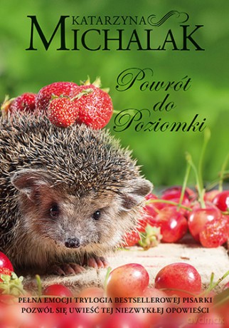 Powrót do poziomki - Katarzyna Michalak [KSIĄŻKA]