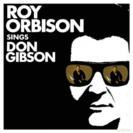 Roy Orbison: Roy Orbison Sings Don Gibson [Winyl]