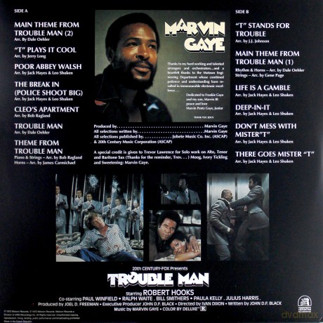 Marvin Gaye: Trouble Man [Winyl]