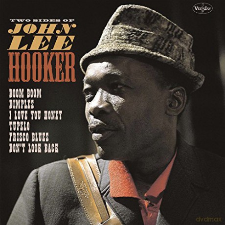 John Lee Hooker: Two Sides Of John Lee Hooker [Winyl]