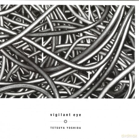 Tetsuya Yoshida: Vigilant Eye [Winyl]