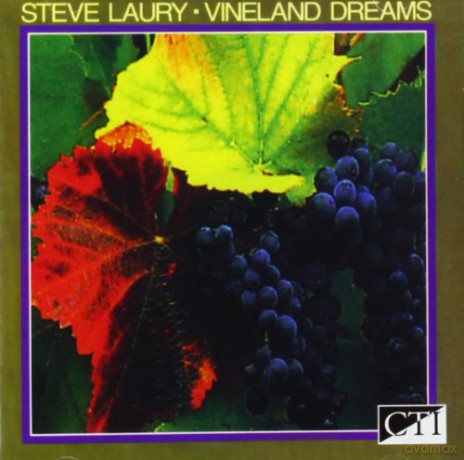 Steve Laury: Vineland Dreams [CD]