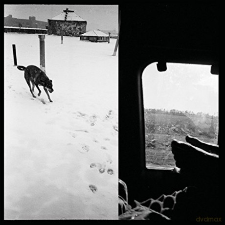 Braveyoung: We Are Lonely Animals [CD]